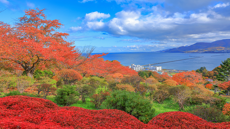 小樽八区八景