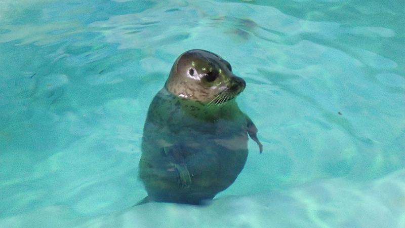 おたる水族館